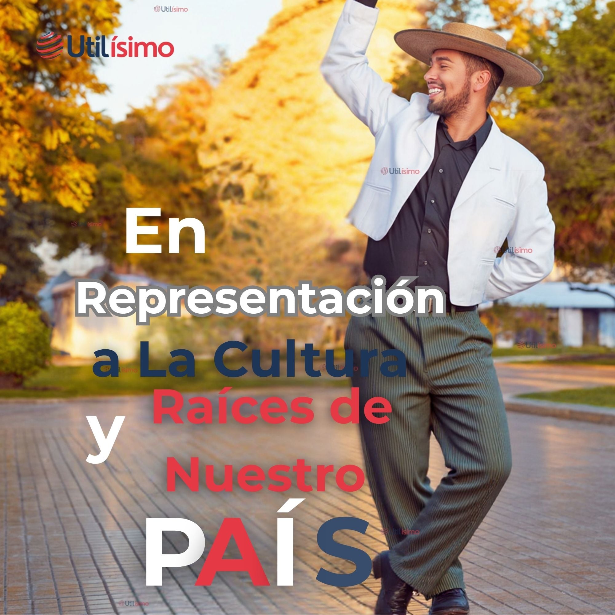 PANTALON HUASO JUVENIL GRIS CON RAYAS FIESTAS PATRIAS - 6