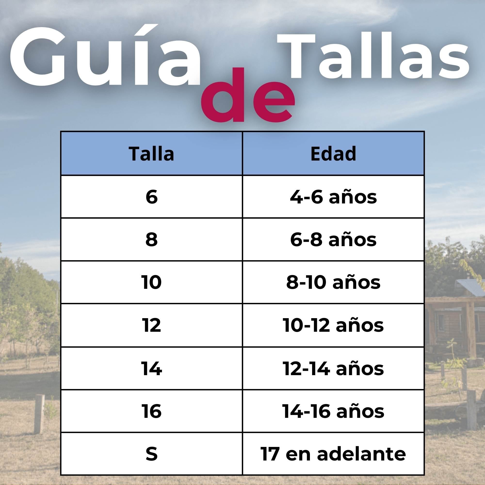 TRAJE VESTIDO MAPUCHE NIÑA 4 AÑOS HASTA TALLA S VESTIMENTA TIPICA - 4