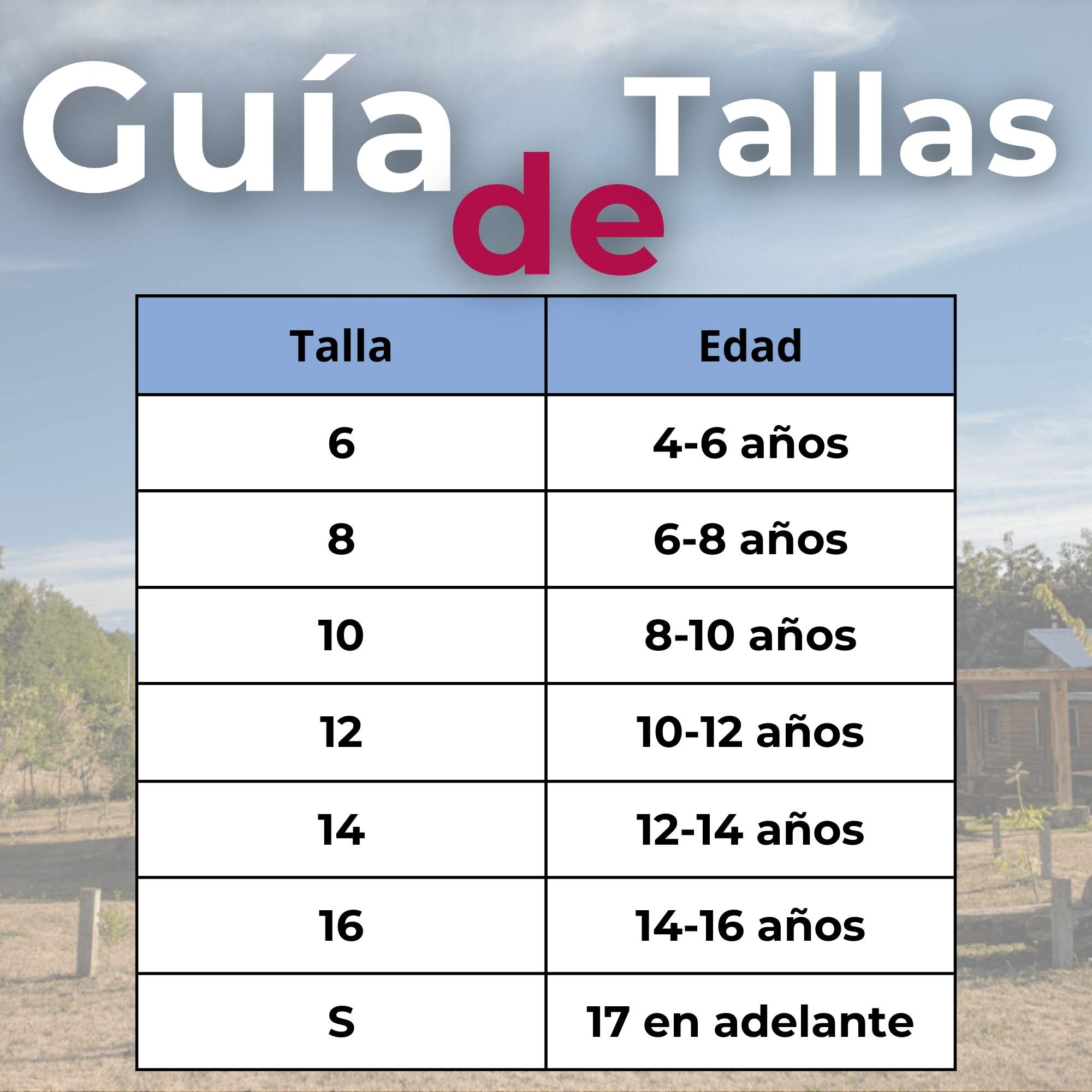 TRAJE VESTIDO MAPUCHE NIÑA INCLUYE TRAPELACUCHA 4 AÑOS HASTA TALLA S VESTIMENTA TIPICA - 4