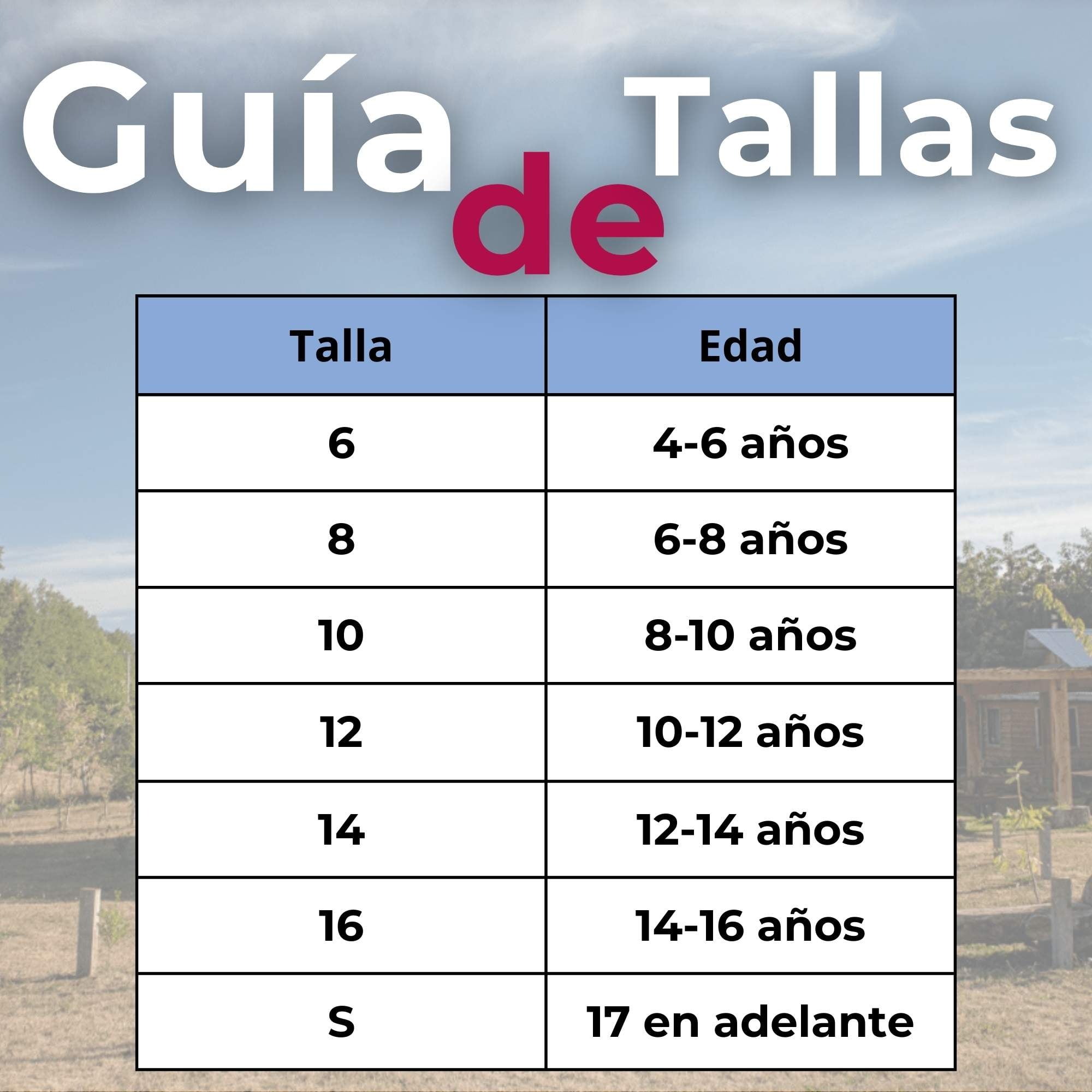TRAJE VESTIDO MAPUCHE NIÑA INCLUYE TRAPELACUCHA 4 AÑOS HASTA TALLA S VESTIMENTA TIPICA - 4