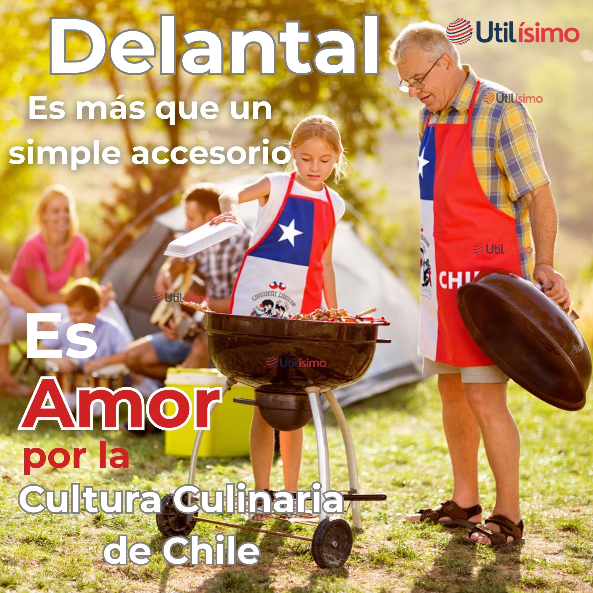 DELANTAL COCINA FIESTAS PATRIAS BANDERA CHILENA 60X90 CM CONDORITO - 2