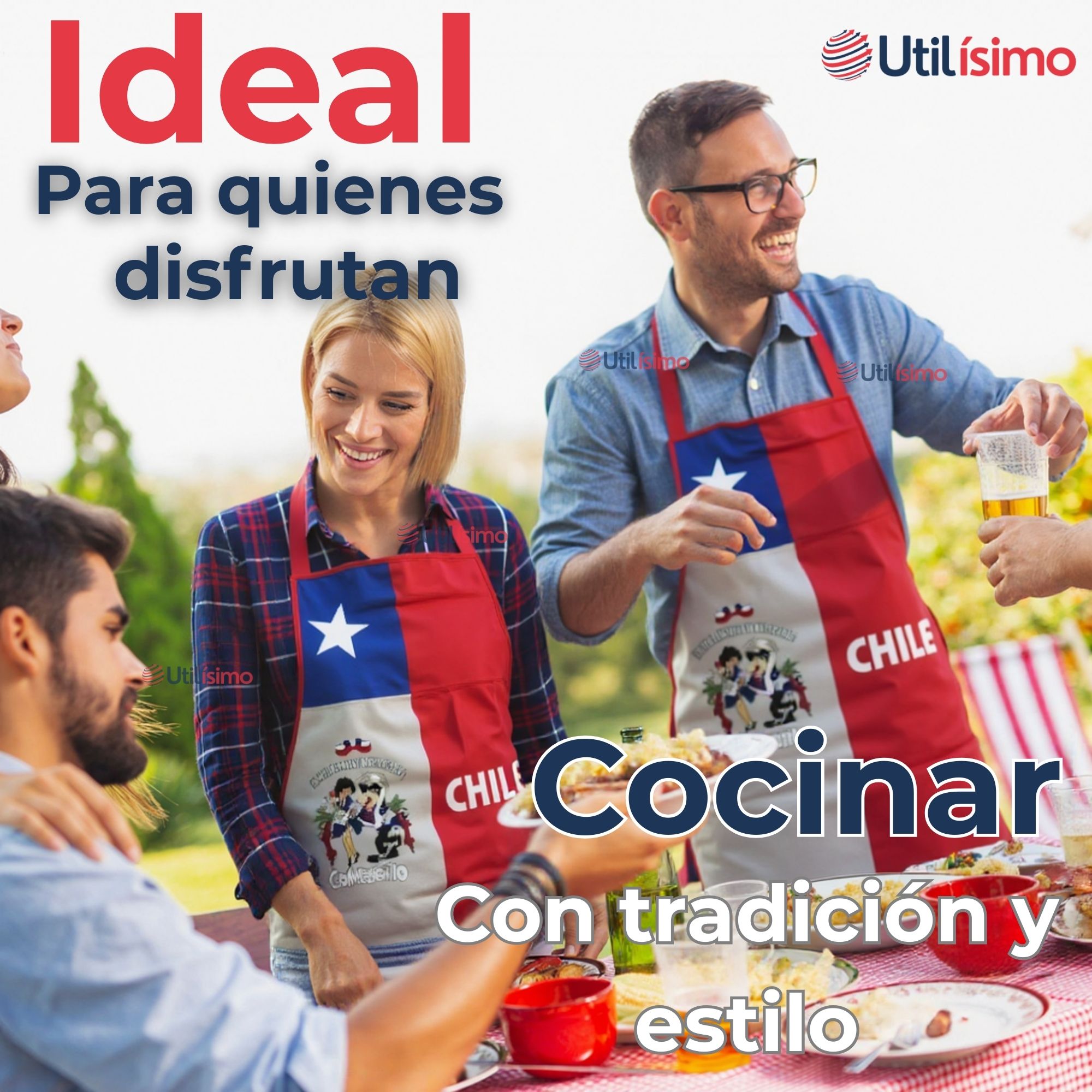DELANTAL COCINA FIESTAS PATRIAS BANDERA CHILENA 60X90 CM CONDORITO - 5