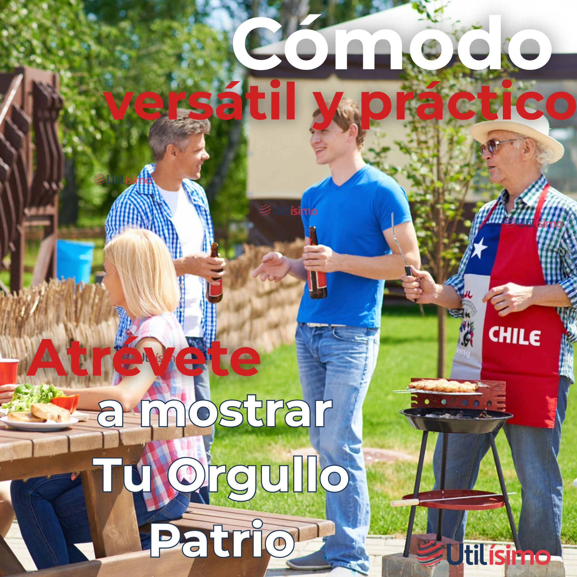 DELANTAL COCINA FIESTAS PATRIAS BANDERA CHILENA 60X90 CM CONDORITO - 7