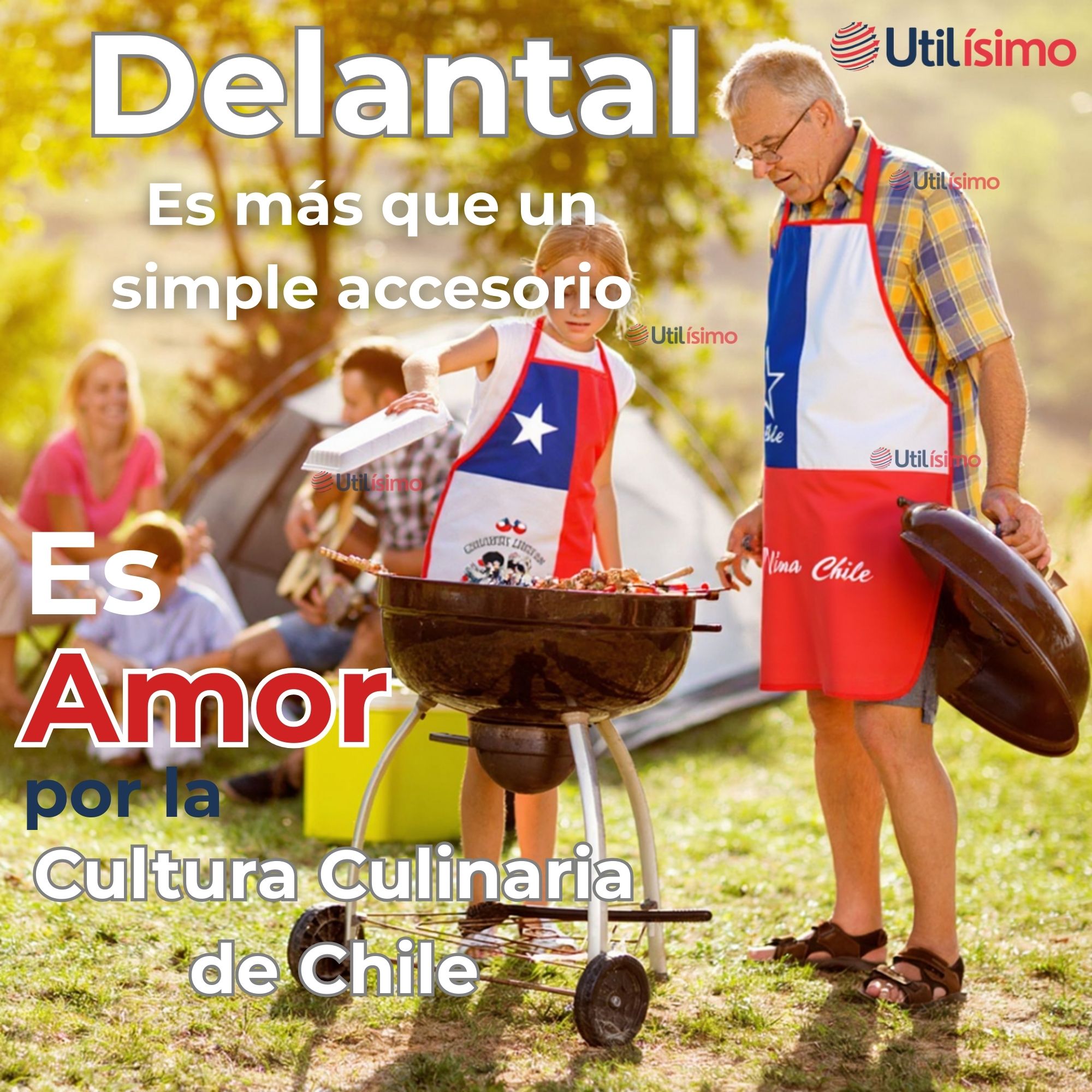 DELANTAL COCINA FIESTAS PATRIAS BANDERA CHILENA 60X90CM SURTIDOS - 4