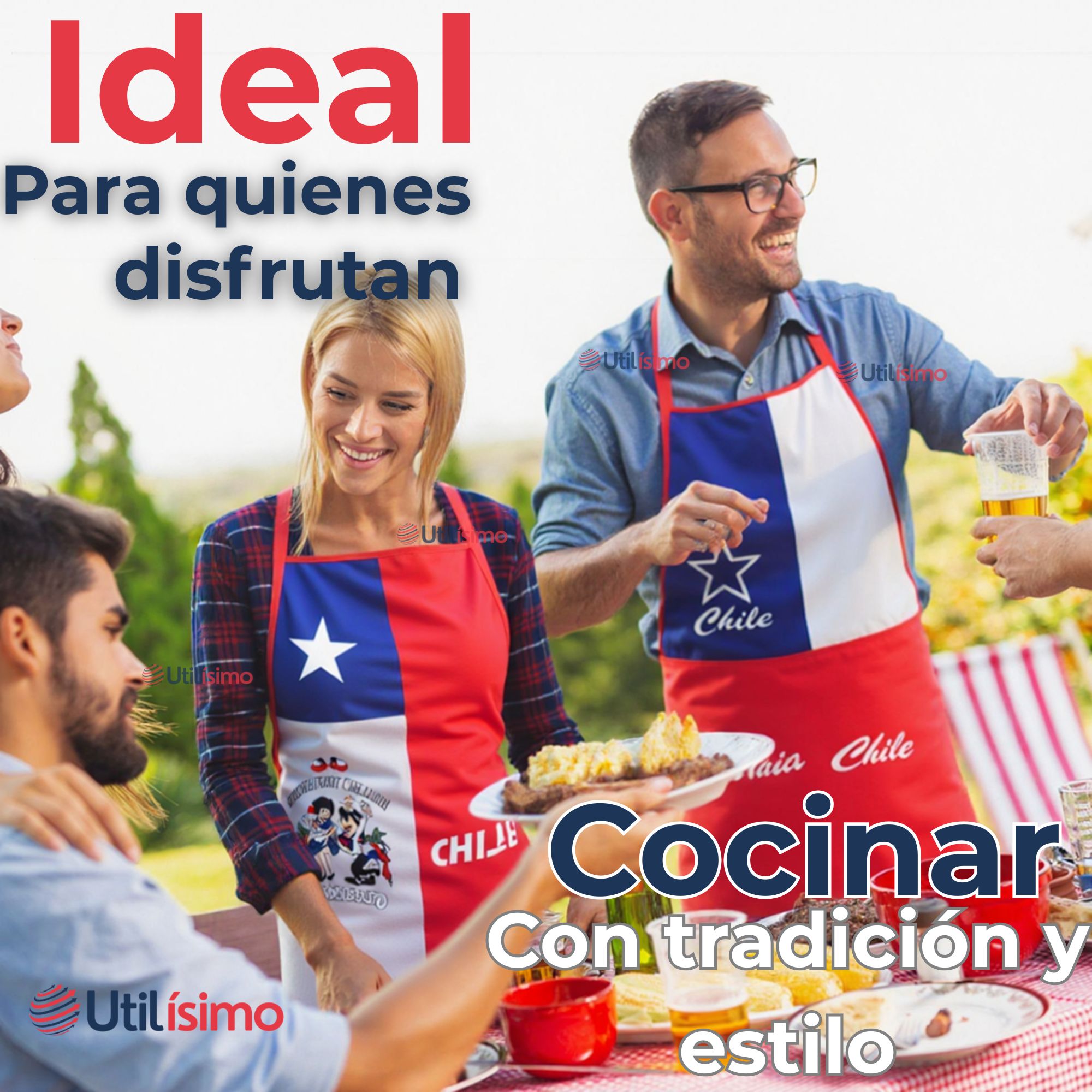 DELANTAL COCINA FIESTAS PATRIAS BANDERA CHILENA 60X90CM SURTIDOS - 6