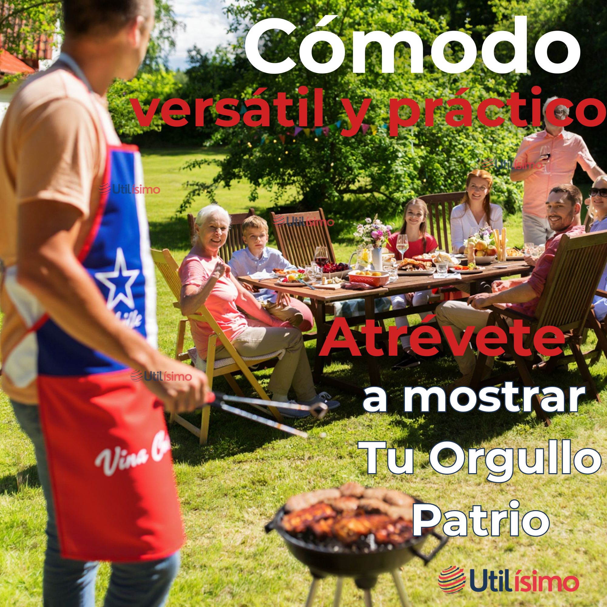 DELANTAL COCINA FIESTAS PATRIAS BANDERA CHILENA 60X90CM SURTIDOS - 7