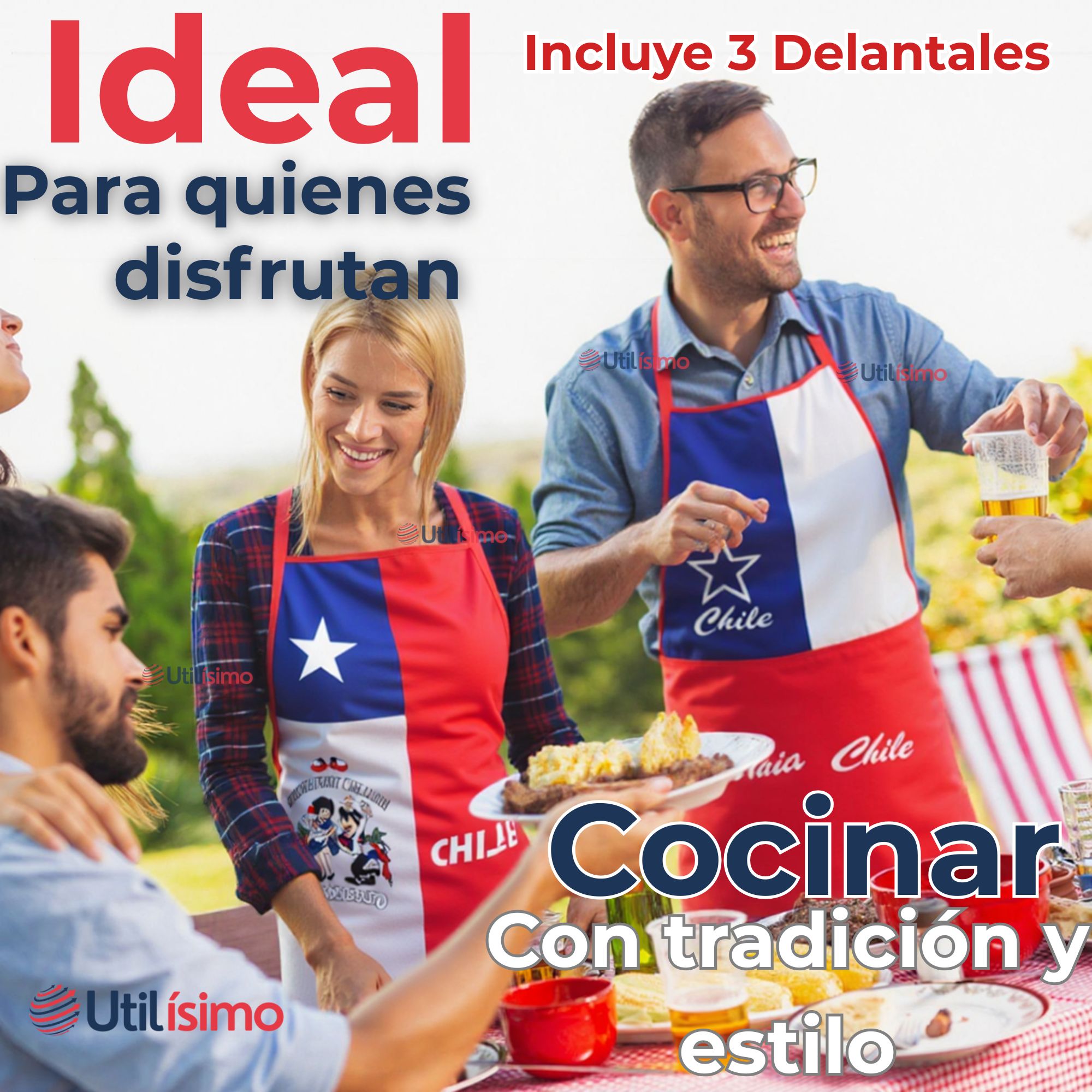 PACK 3 DELANTAL COCINA FIESTAS PATRIAS BANDERA CHILENA 60X90 SURTIDOS - 6