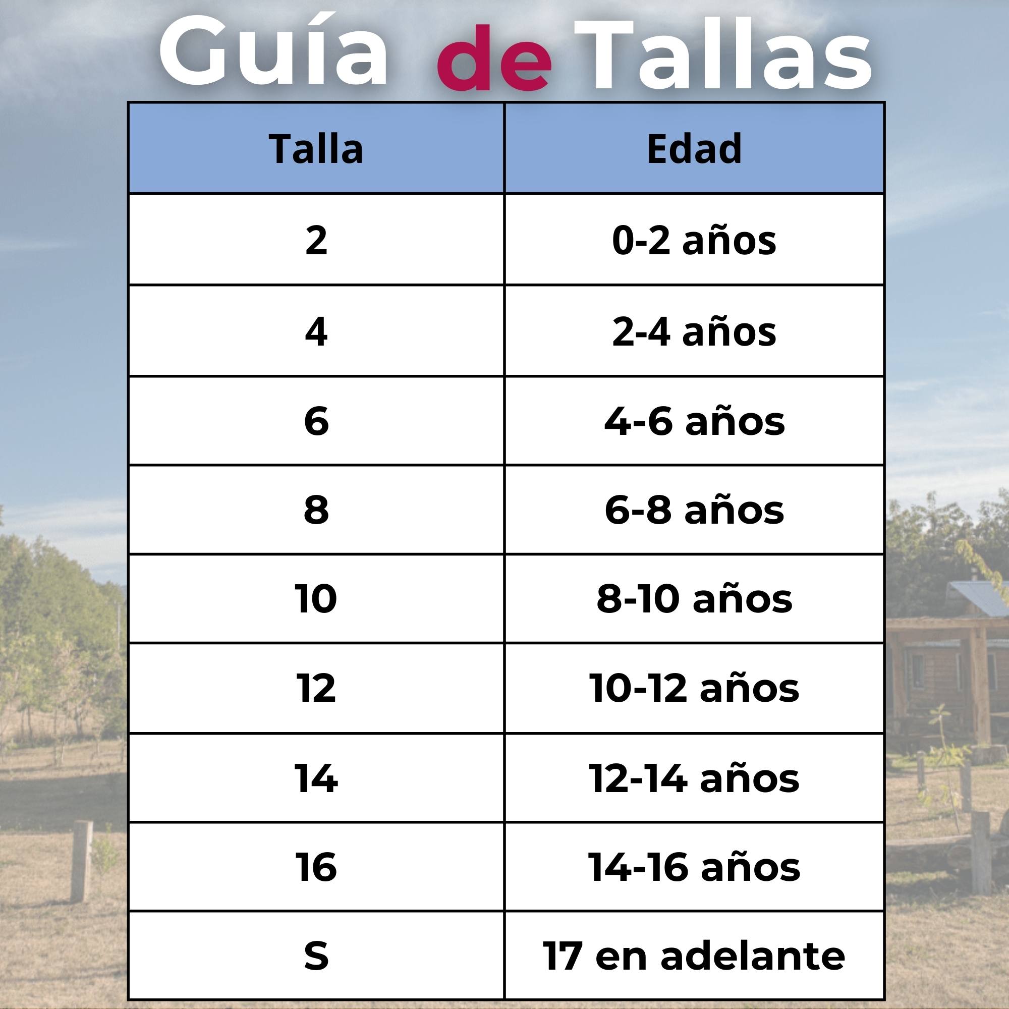 TRAJE VESTIDO MAPUCHE NIÑA 0 MESES HASTA TALLA S VESTIMENTA TIPICA - 6