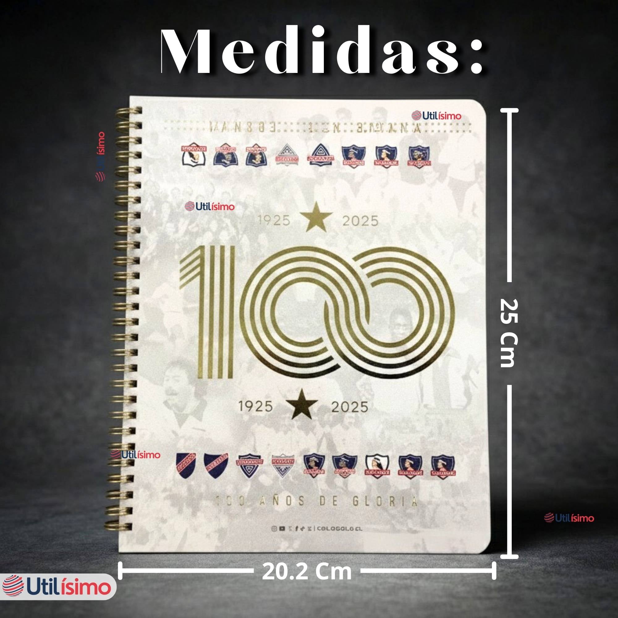 PACK 10 UNIDADES CUADERNOS COLO COLO CENTENARIO 100 HOJAS DISEÑOS SURTIDOS - 4