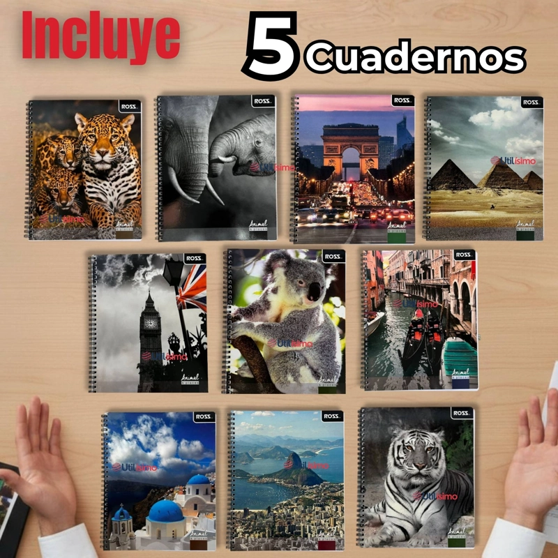 PACK 5 CUADERNOS UNIVERSITARIO ANIMAL & PLACES ROSS 7MM 100 HOJAS DISEÑOS SURTIDOS - 2
