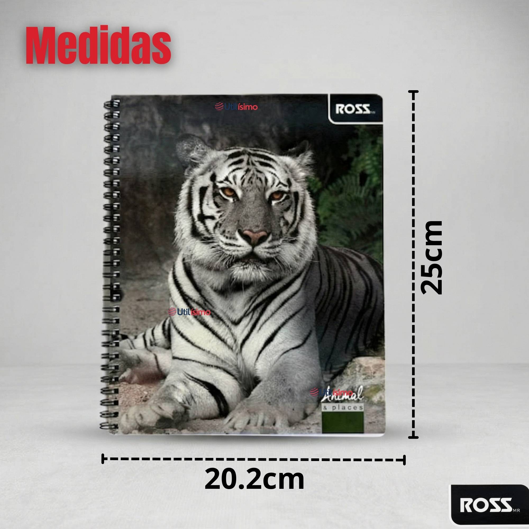 PACK 5 CUADERNOS UNIVERSITARIO ANIMAL & PLACES ROSS 7MM 100 HOJAS DISEÑOS SURTIDOS - 3