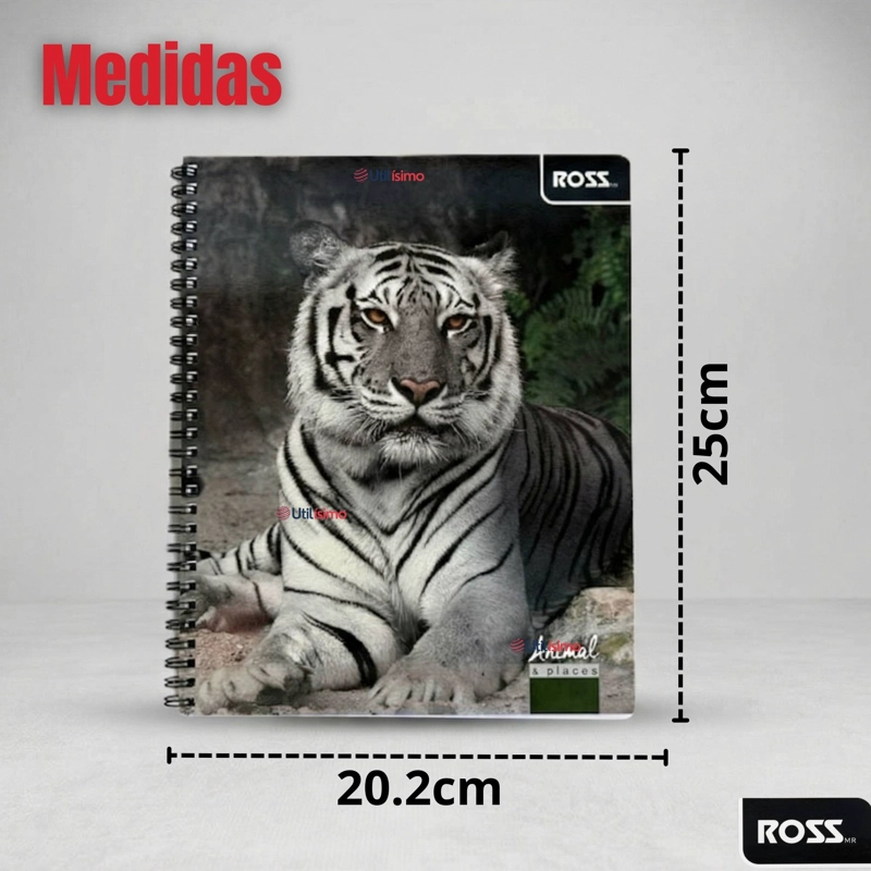 PACK 5 CUADERNOS UNIVERSITARIO ANIMAL & PLACES ROSS 7MM 100 HOJAS DISEÑOS SURTIDOS - 3