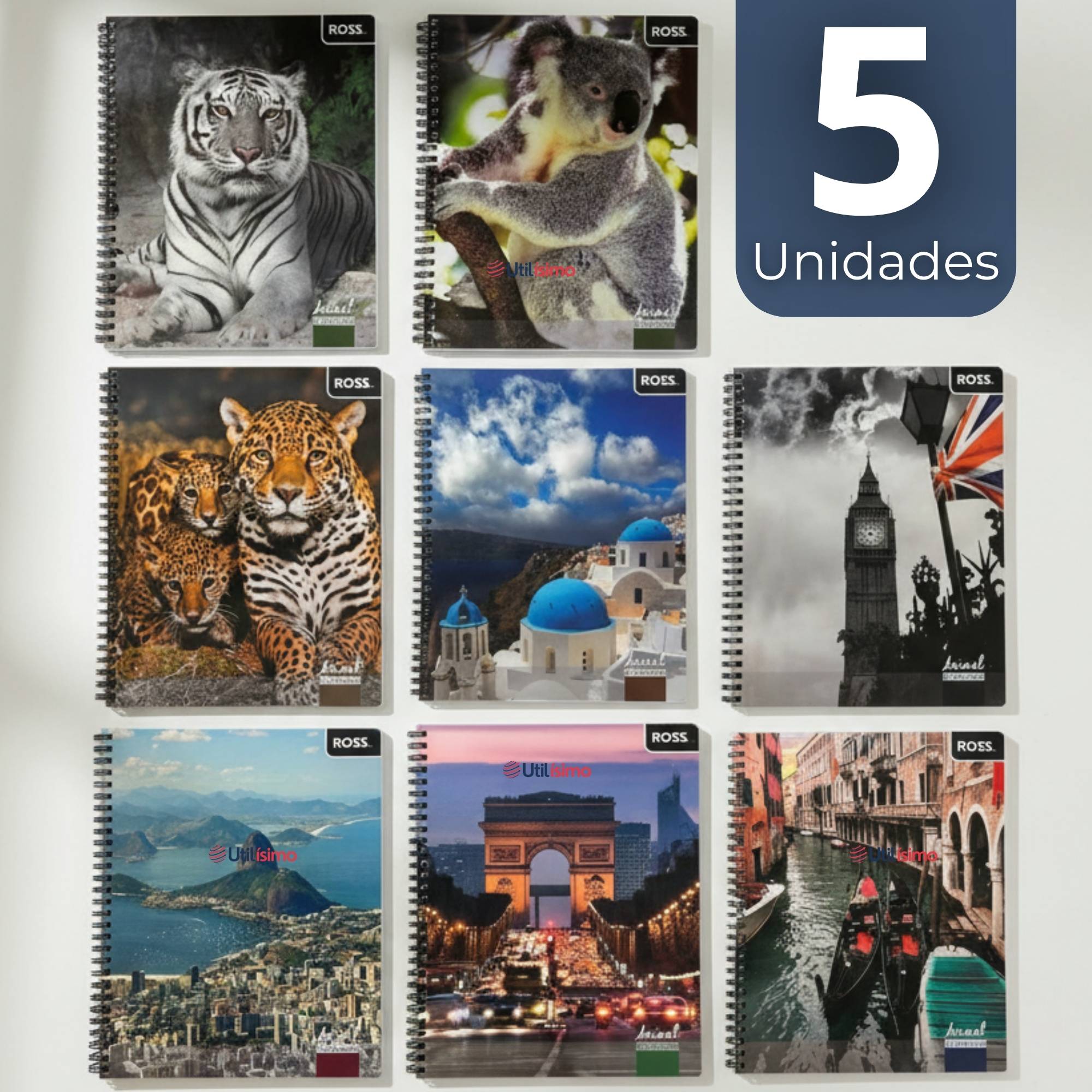 PACK 5 CUADERNOS UNIVERSITARIO ANIMAL & PLACES ROSS 7MM 100 HOJAS DISEÑOS SURTIDOS - 1