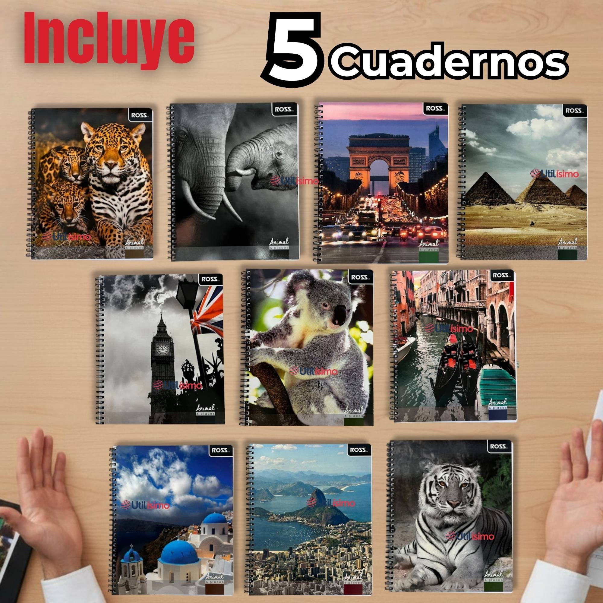 PACK 5 CUADERNOS UNIVERSITARIO ANIMAL & PLACES ROSS 7MM 100 HOJAS DISEÑOS SURTIDOS - 2