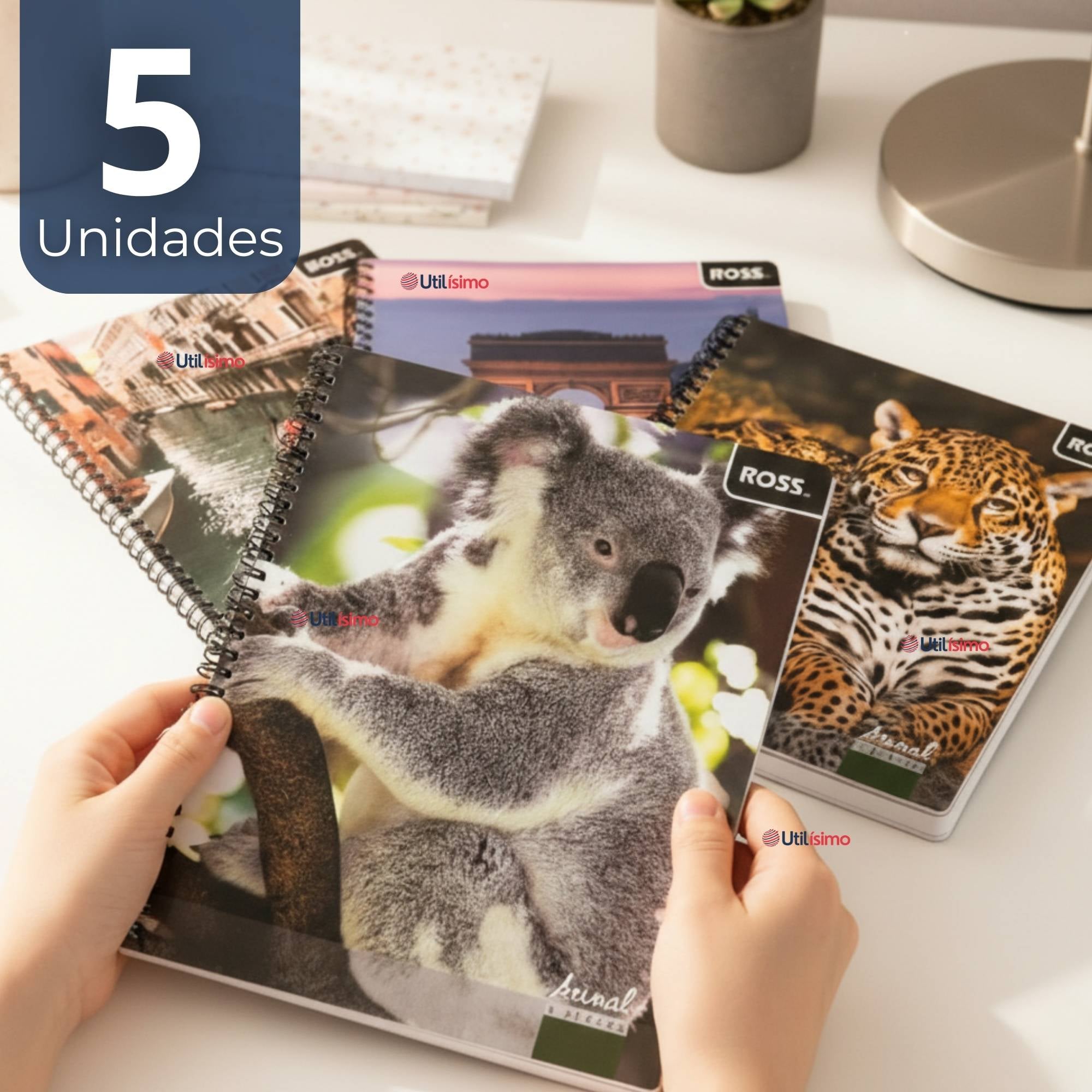PACK 5 CUADERNOS UNIVERSITARIO ANIMAL & PLACES ROSS 7MM 100 HOJAS DISEÑOS SURTIDOS - 1