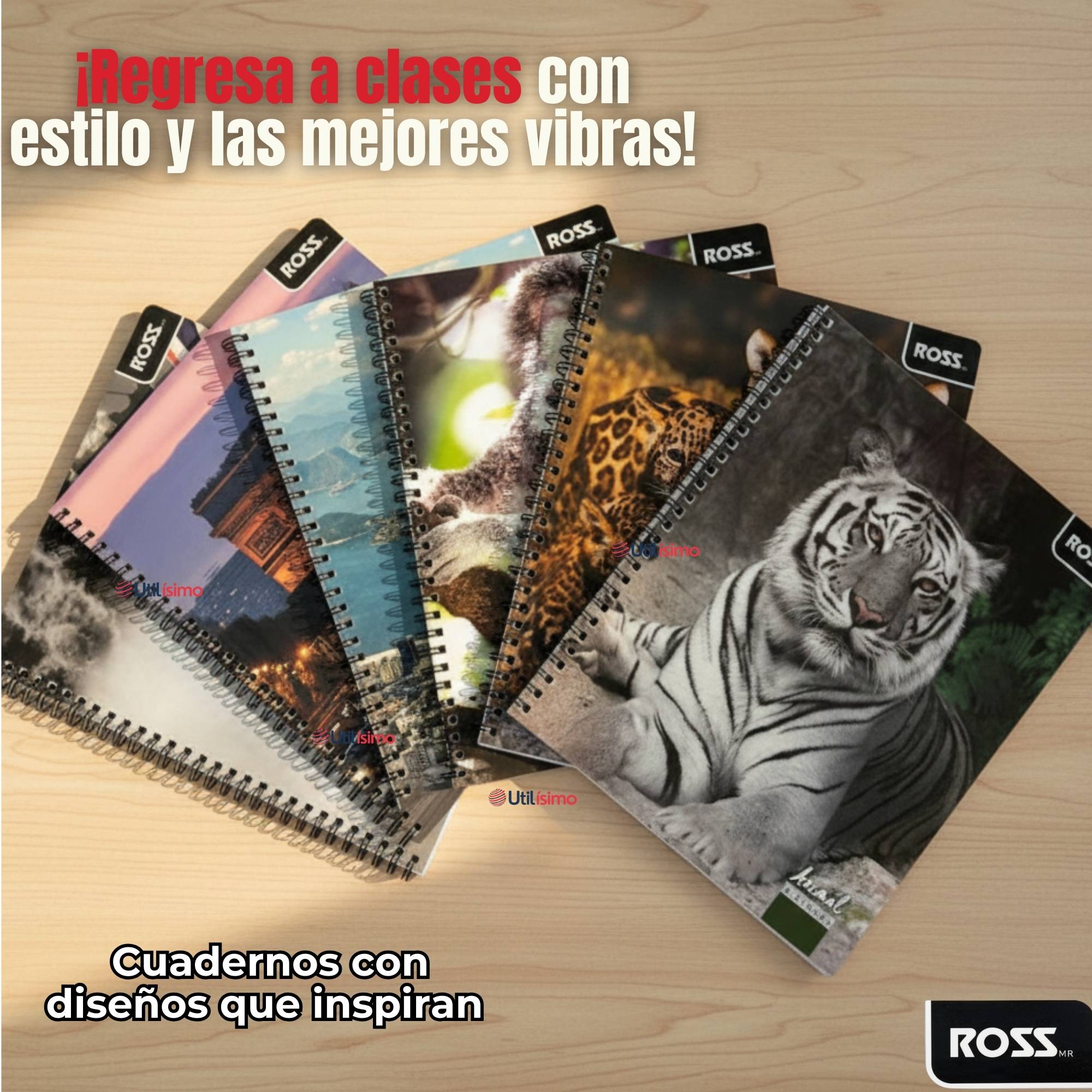 PACK 5 CUADERNOS UNIVERSITARIO ANIMAL & PLACES ROSS 7MM 100 HOJAS DISEÑOS SURTIDOS - 8