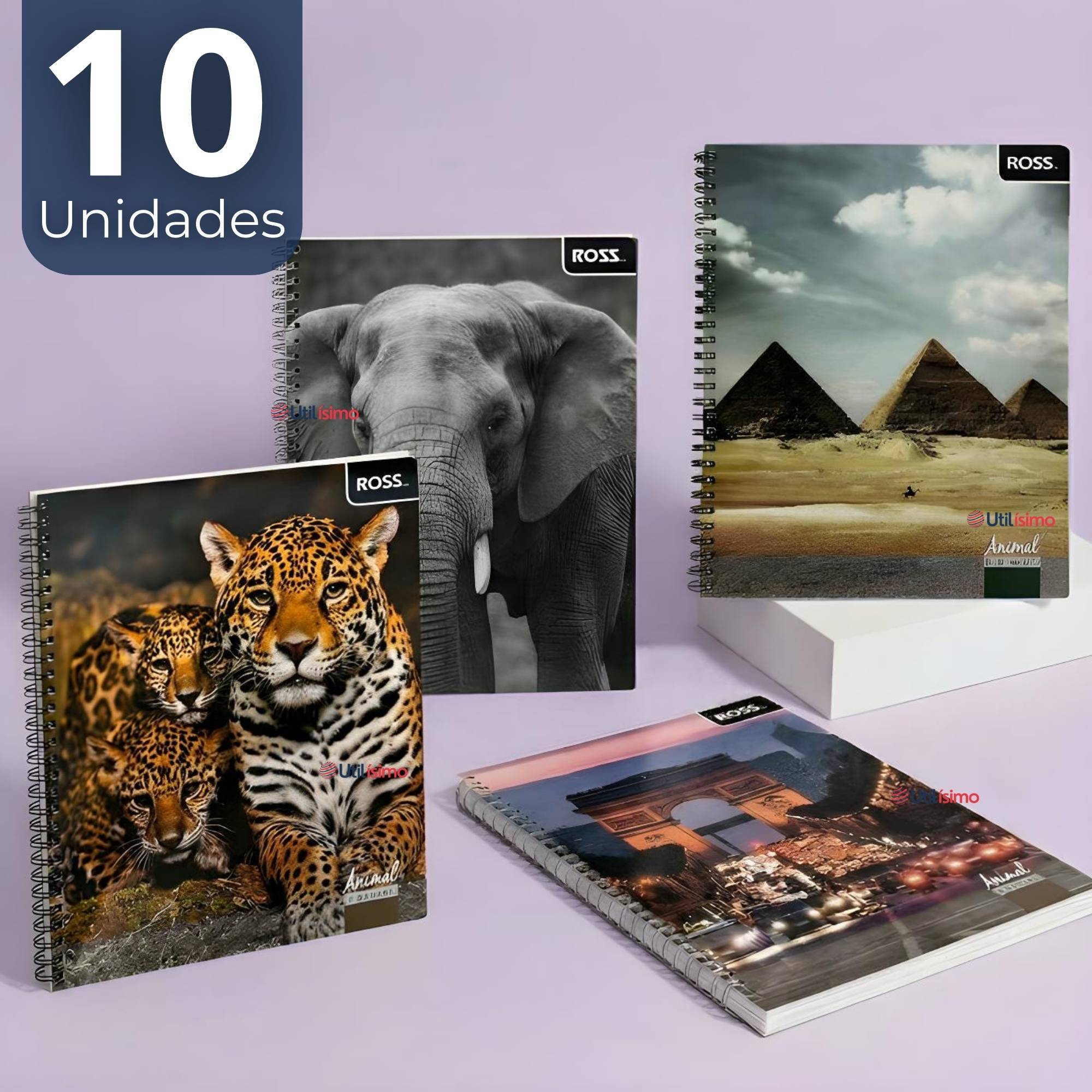 PACK 10 CUADERNOS UNIVERSITARIO ANIMAL & PLACES ROSS 7MM 100 HOJAS DISEÑOS SURTIDOS - 1