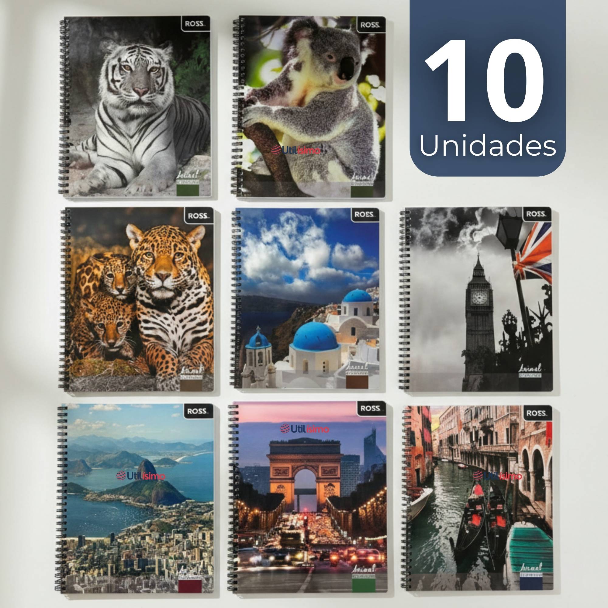 PACK 10 CUADERNOS UNIVERSITARIO ANIMAL & PLACES ROSS 7MM 100 HOJAS DISEÑOS SURTIDOS - 1