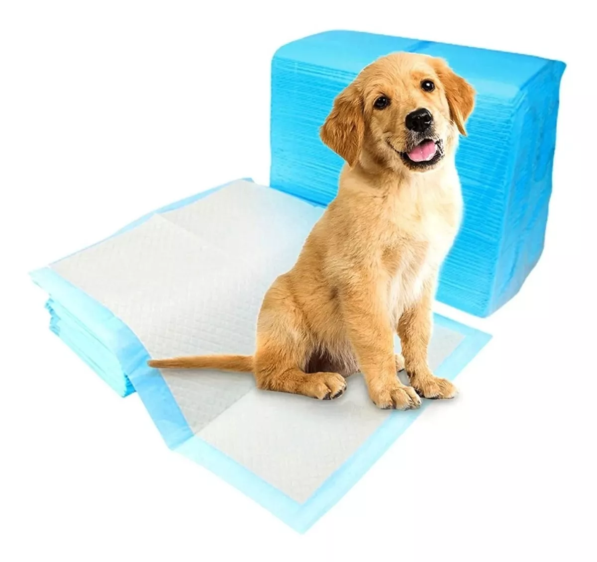 50 PAÑALES TIPO SABANILLAS MASCOTAS PERROS 45X60 CMS 640 - 1