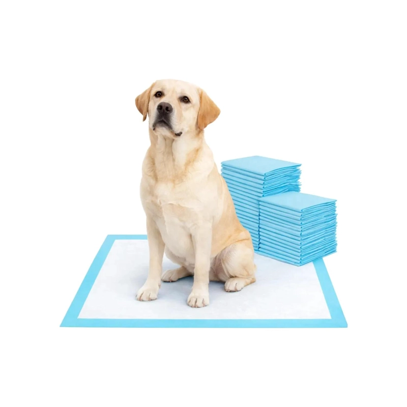 PACK 24 SABANILLAS 33X45CM DE ENTRENAMIENTO PARA PERROS MASCOTAS - 1