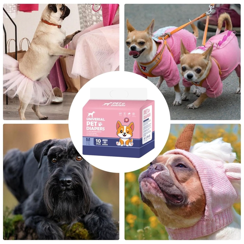 PACK 10 PAÑALES ABSORVENTES XS PARA PERROS HEMBRA MASCOTAS - 3