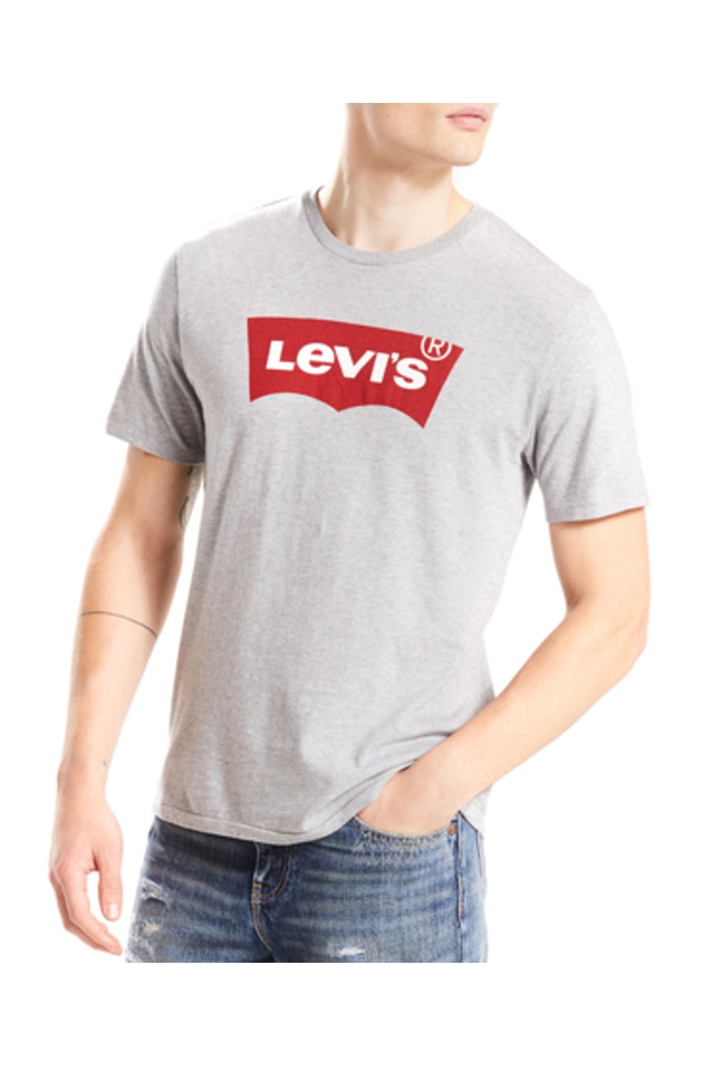POLERA HOMBRE REGULAR FIT LISA CON LOGO GRIS LEVIS 17783-0138 - 1
