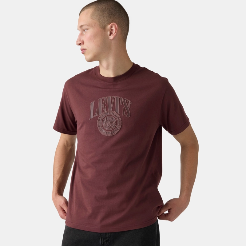 POLERA HOMBRE RELAXED FIT TEE BURDEO LEVIS 16143-2676 - 3