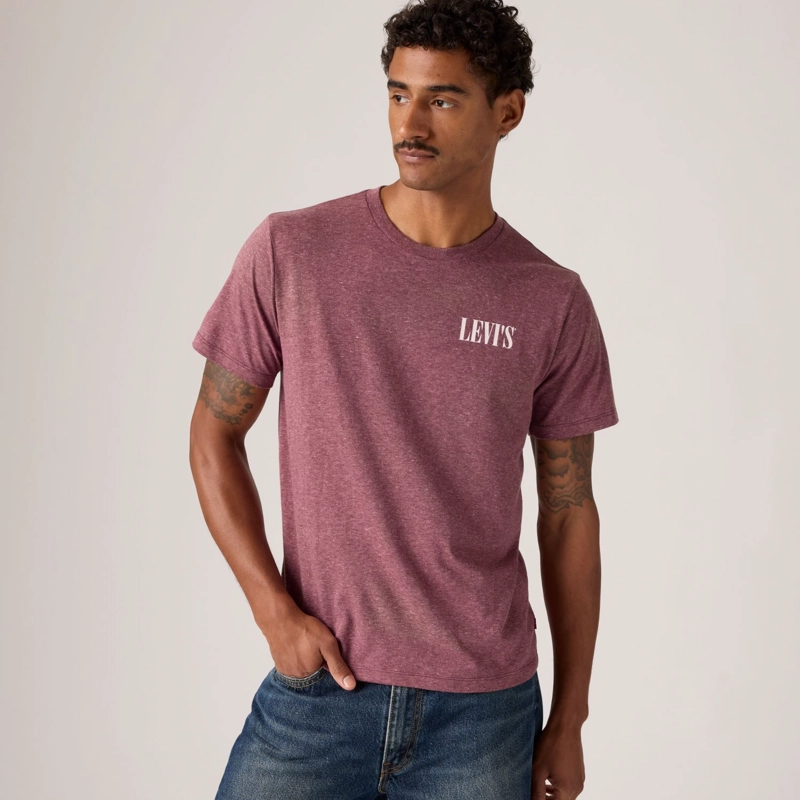 POLERA HOMBRE GRAPHIC CREWNECK TEE BURDEO LEVIS 22491-2161 - 3