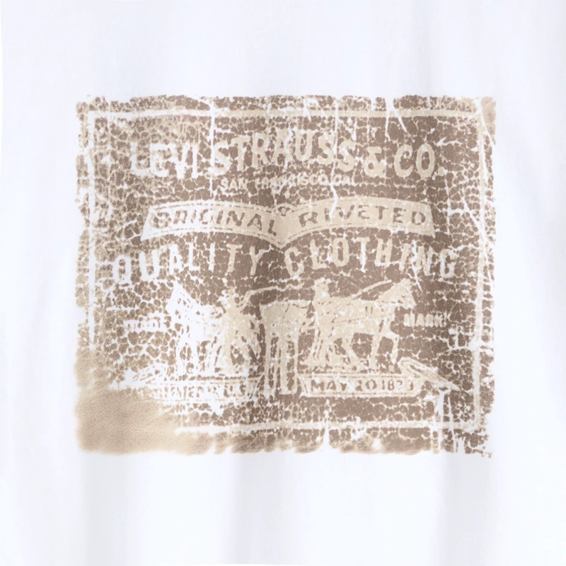 POLERA HOMBRE SS RELAXED FIT TEE BLANCO LEVIS 16143-2608 - 5