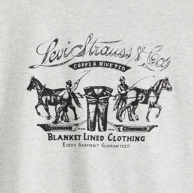 POLERA HOMBRE SS RELAXED FIT TEE GRIS LEVIS 16143-2686 - 5