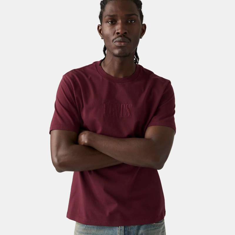 POLERA HOMBRE GRAPHIC CREWNECK TEE BURDEO LEVIS 22491-2183 - 3