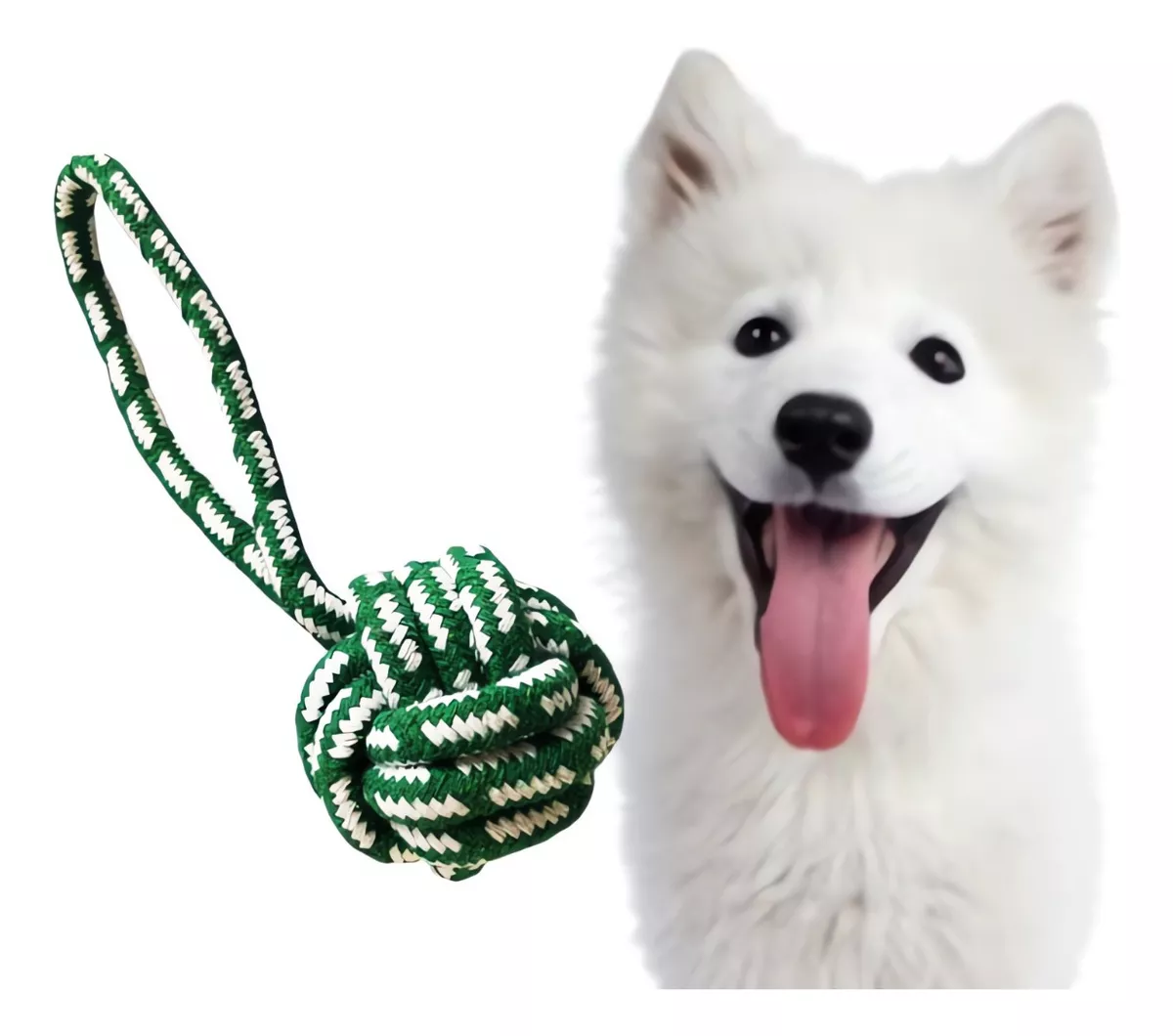 Collar Para Perro Con Cuerda Y Comedero - Nylon Trenzado, Ajustable, Para Perros Pequeños A Grandes