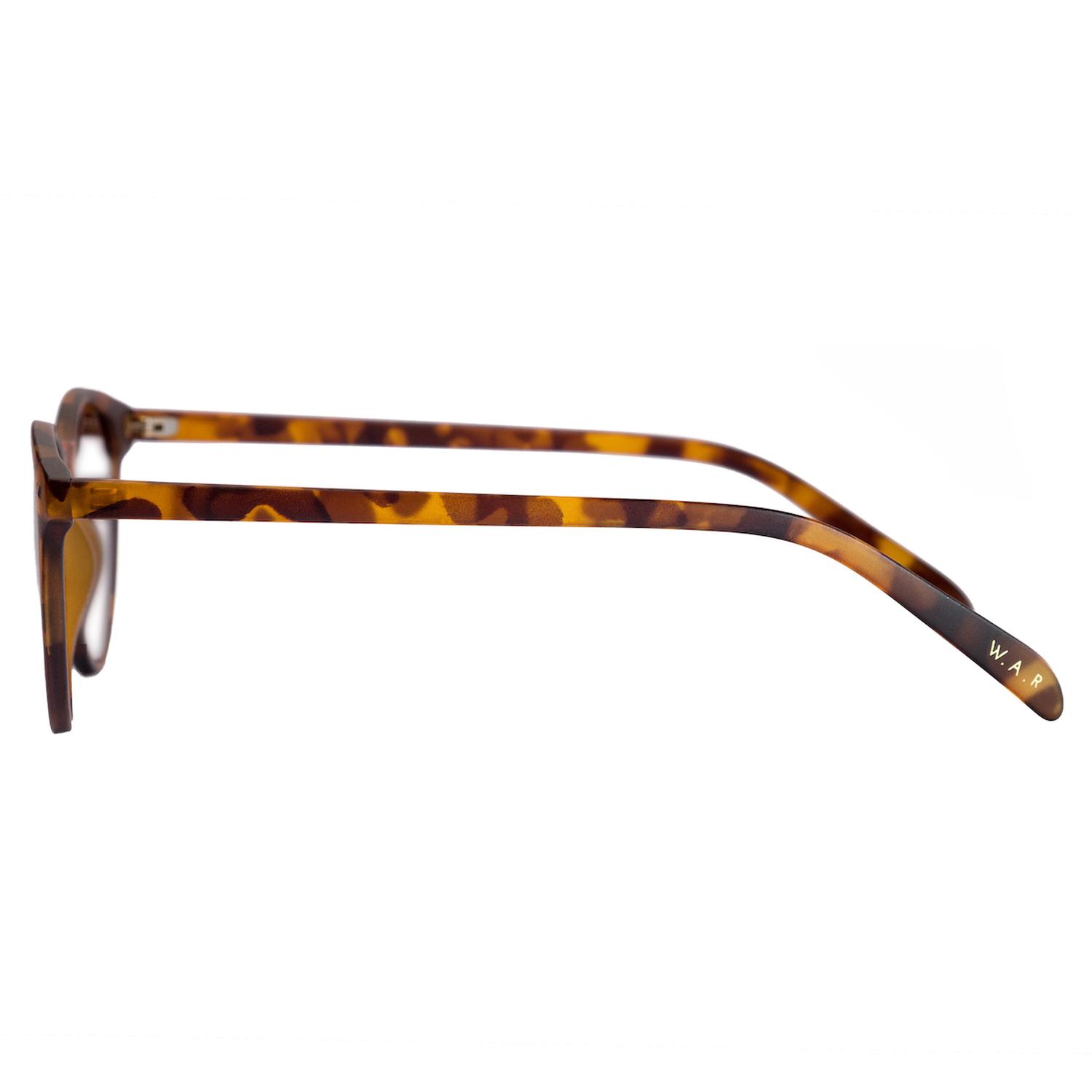 LENTES PANTALLA W.A.R LAKE TORTOISE - 3