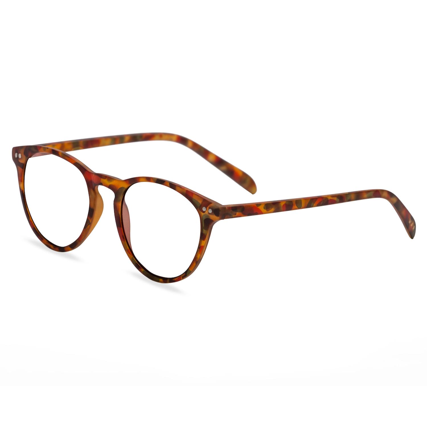 LENTES PANTALLA W.A.R LAKE TORTOISE BLUE - 2
