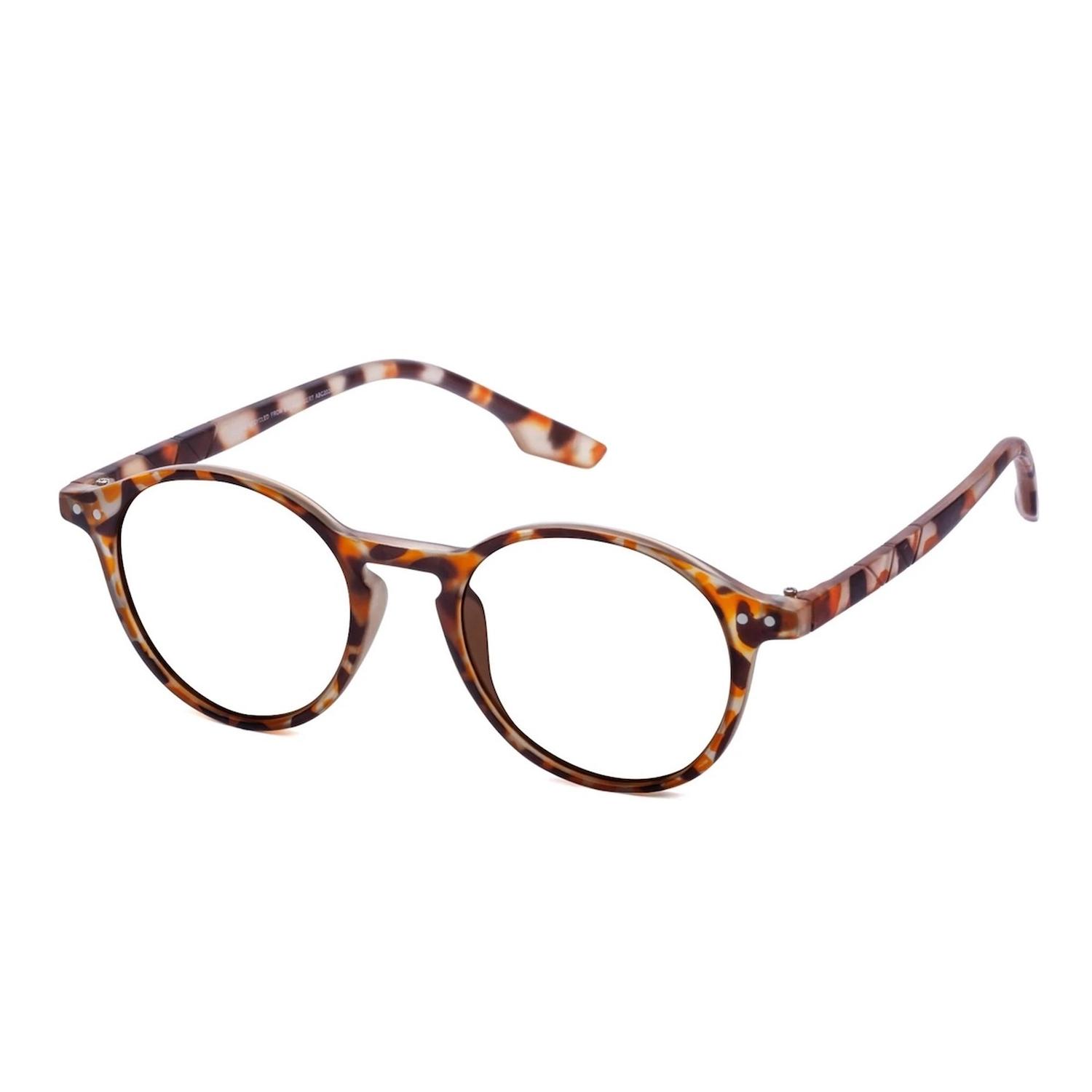 LENTES PANTALLA W.A.R SEA A2 TORTOISE - 2