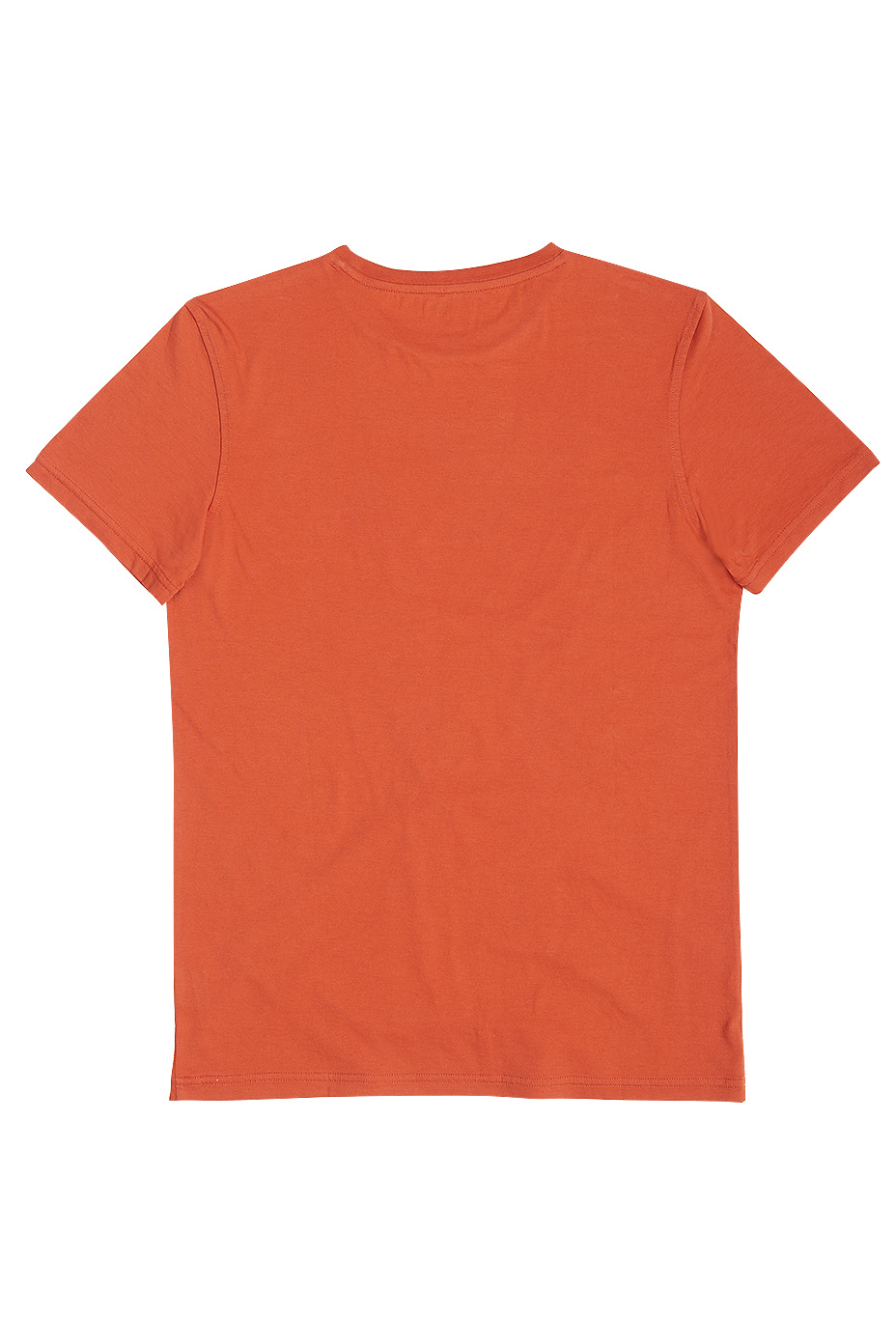 POLERA BACK PRINT HUDSON BRICK - 4