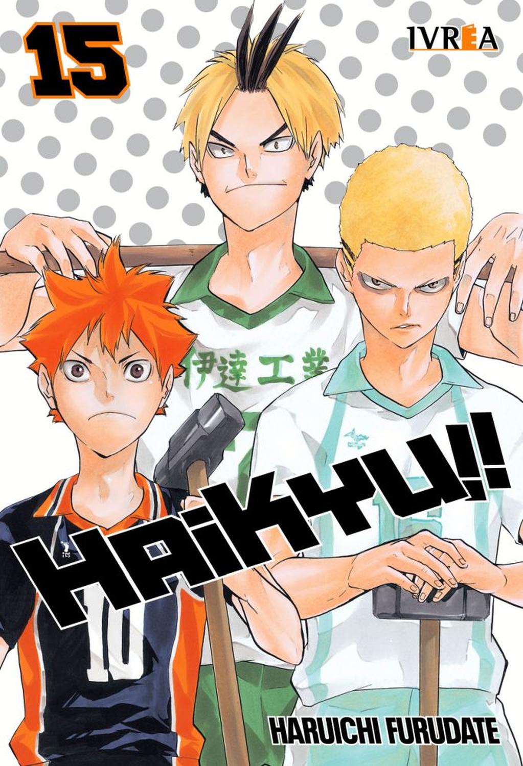MANGA HAIKYU!! 15 IVREA ARGENTINA - 1