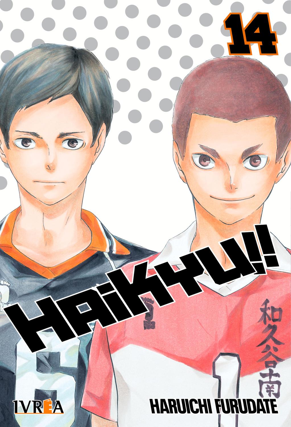 MANGA HAIKYU!! 14 IVREA ARGENTINA - 1