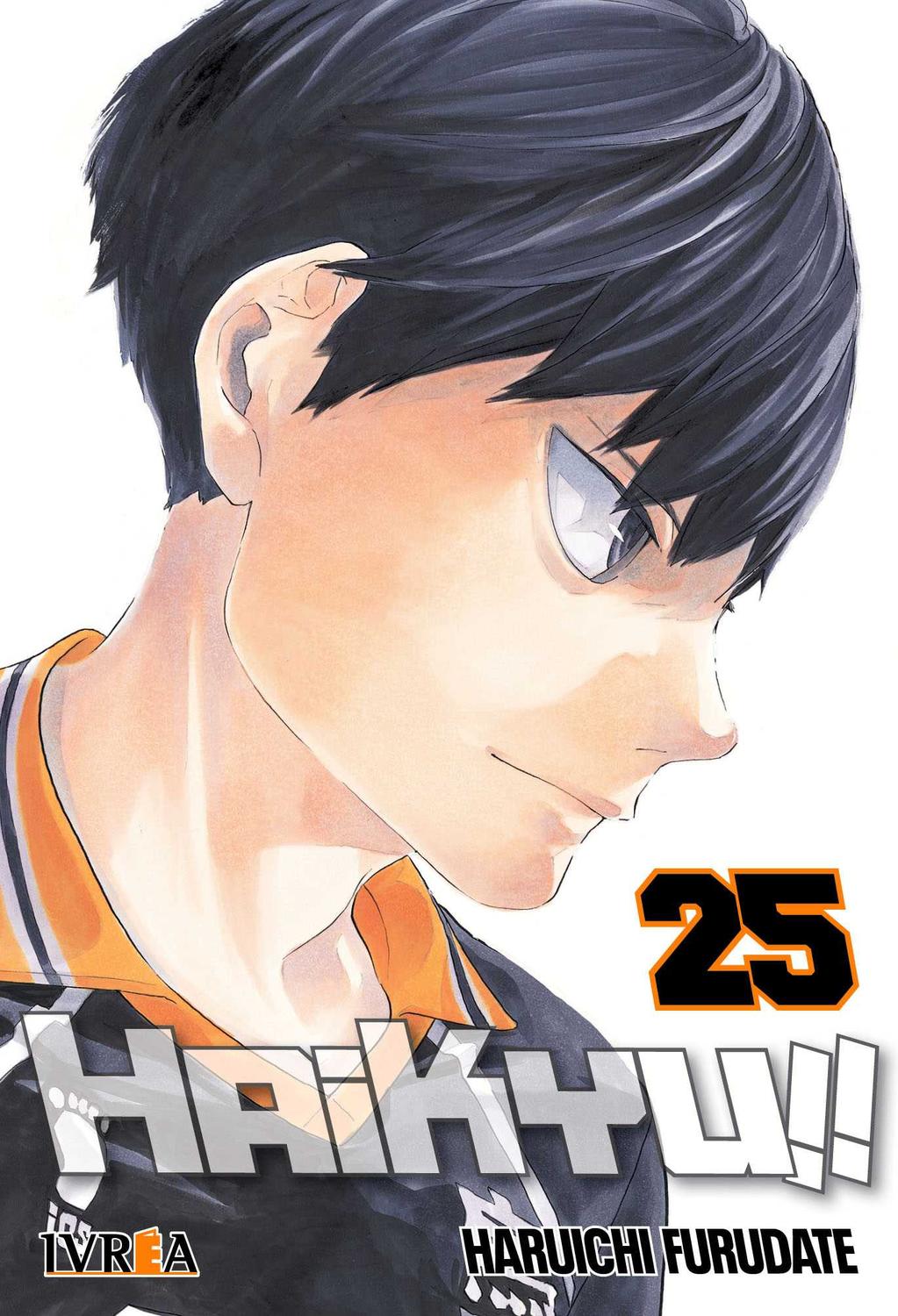MANGA HAIKYU!! 25 IVREA ARGENTINA - 1