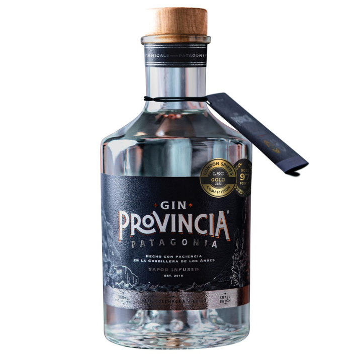 GIN PROVINCIA BOTELLA VIDRIO 700 CC PATAGONIA 43° - 1