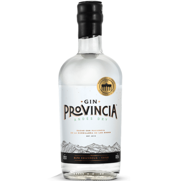 GIN PROVINCIA BOTELLA VIDRIO 700 CC ANDES DRY 40° - 1