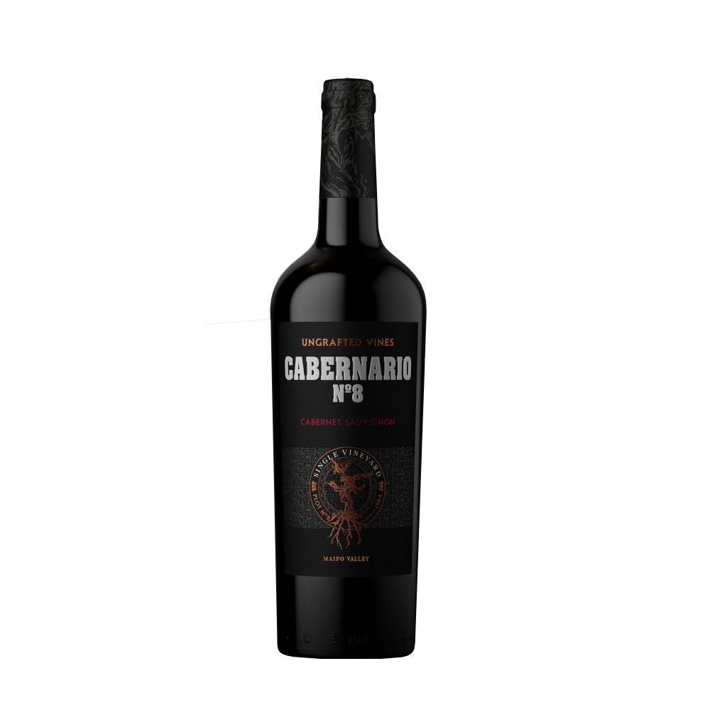 VINO TINTO CABERNET SAUVIGNON SANTA RITA BOTELLA VIDRIO 750 CC CABERNARIO 14° - 1