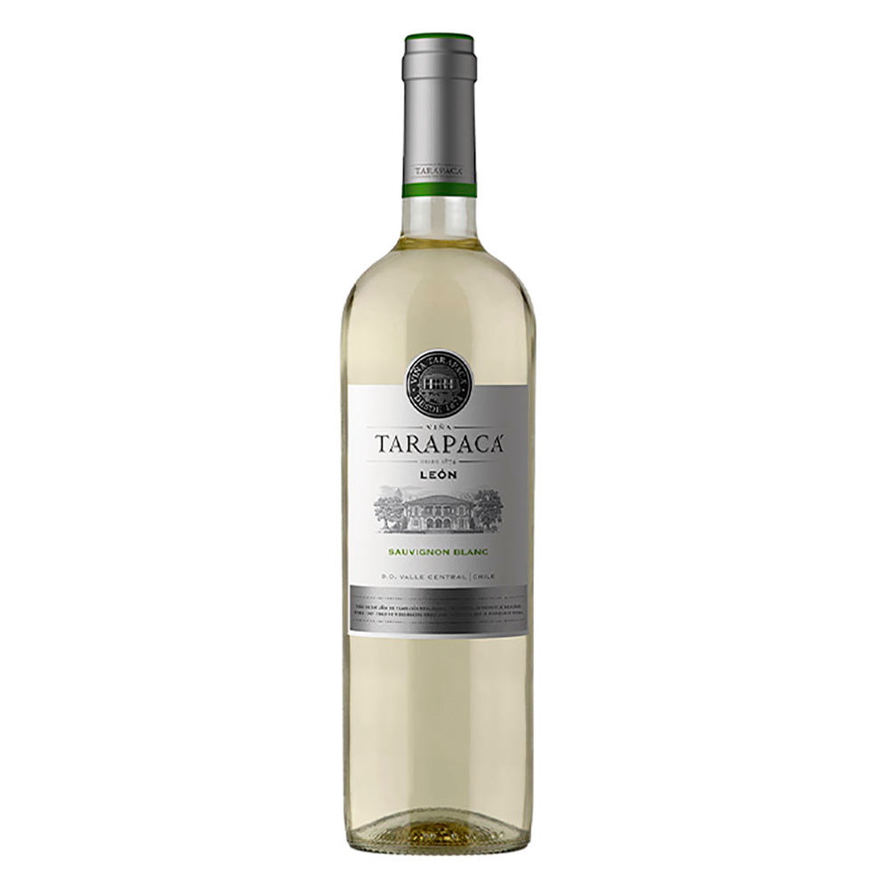 VINO TARAPACA LEON SAUVIGNON BLANC 13° 750CC - 1
