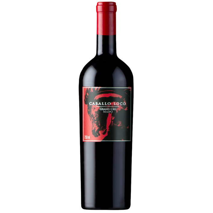 VINO TINTO CABERNET SAUVIGNON VALDIVIESO BOTELLA VIDRIO 750 CC CABALLO LOCO GRAN CRU MAIPO 15° - 1