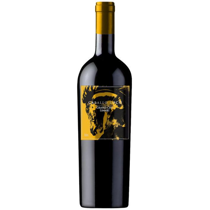 VINO TINTO SYRAH VALDIVIESO BOTELLA VIDRIO 750 CC CABALLO LOCO GRAN CRU LIMARI 15° - 1