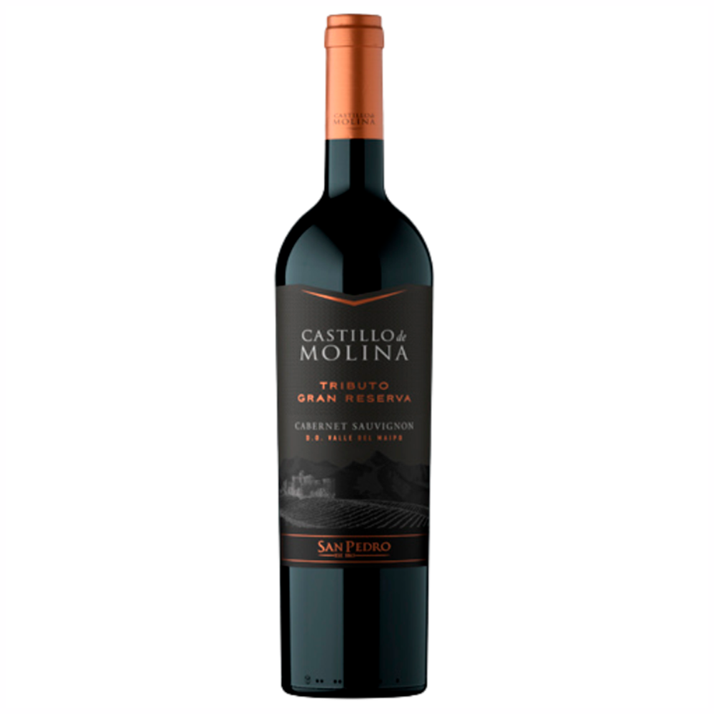 VINO TINTO CABERNET SAUVIGNON CASTILLO DE MOLINA BOTELLA VIDRIO 750 CC TRIBUTO GRAN RESERVA C.S - 1