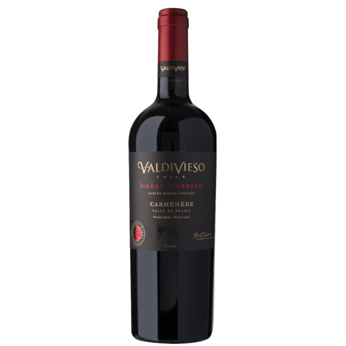 VINO TINTO MALBEC VALDIVIESO BOTELLA VIDRIO 750 CC SINGLE VINEYARD 13° - 1