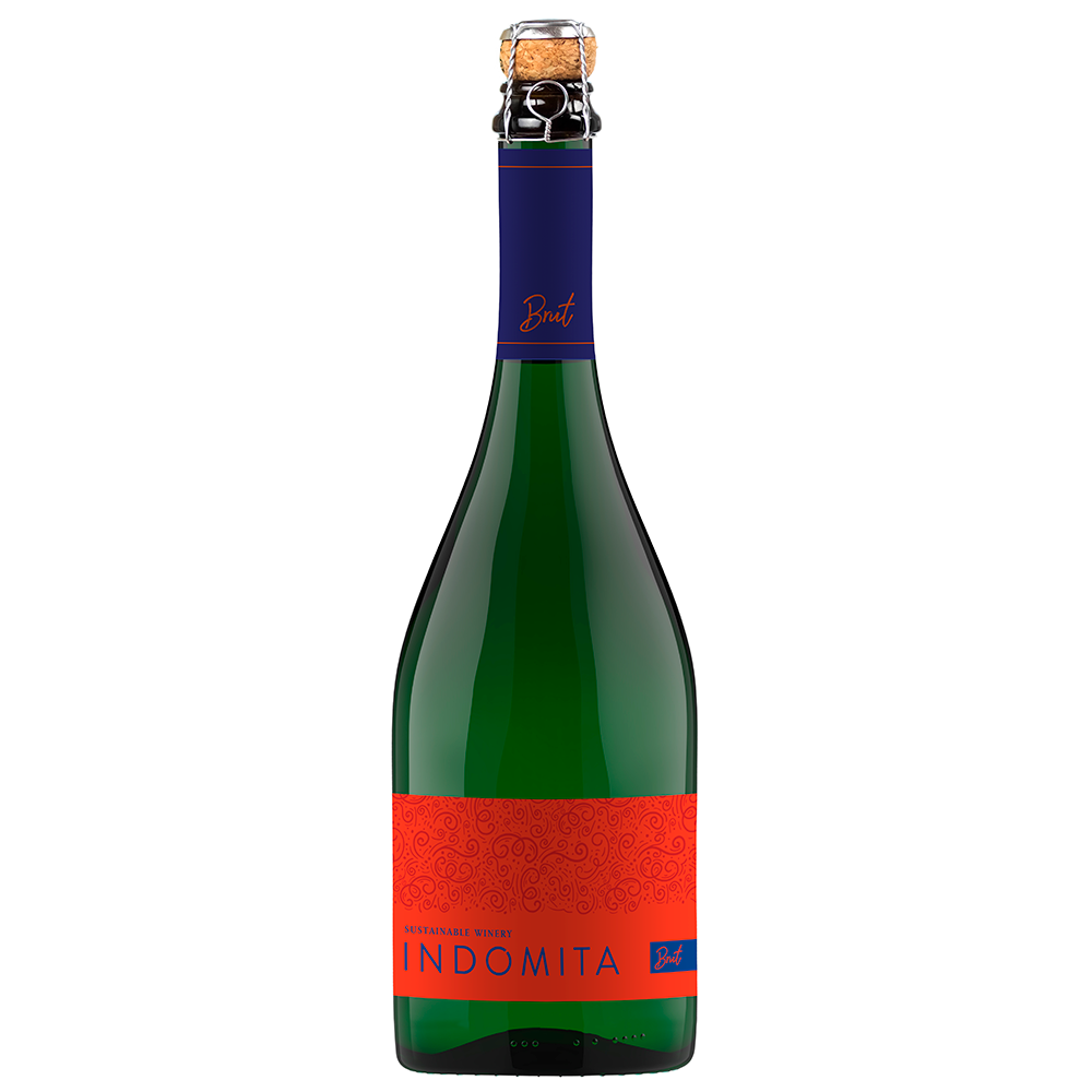 ESPUMANTE INDOMITA BRUT 12,5° 750CC - 1