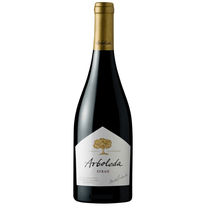 VINO TINTO SYRAH ARBOLEDA BOTELLA VIDRIO 750 CC 14.5° - 1