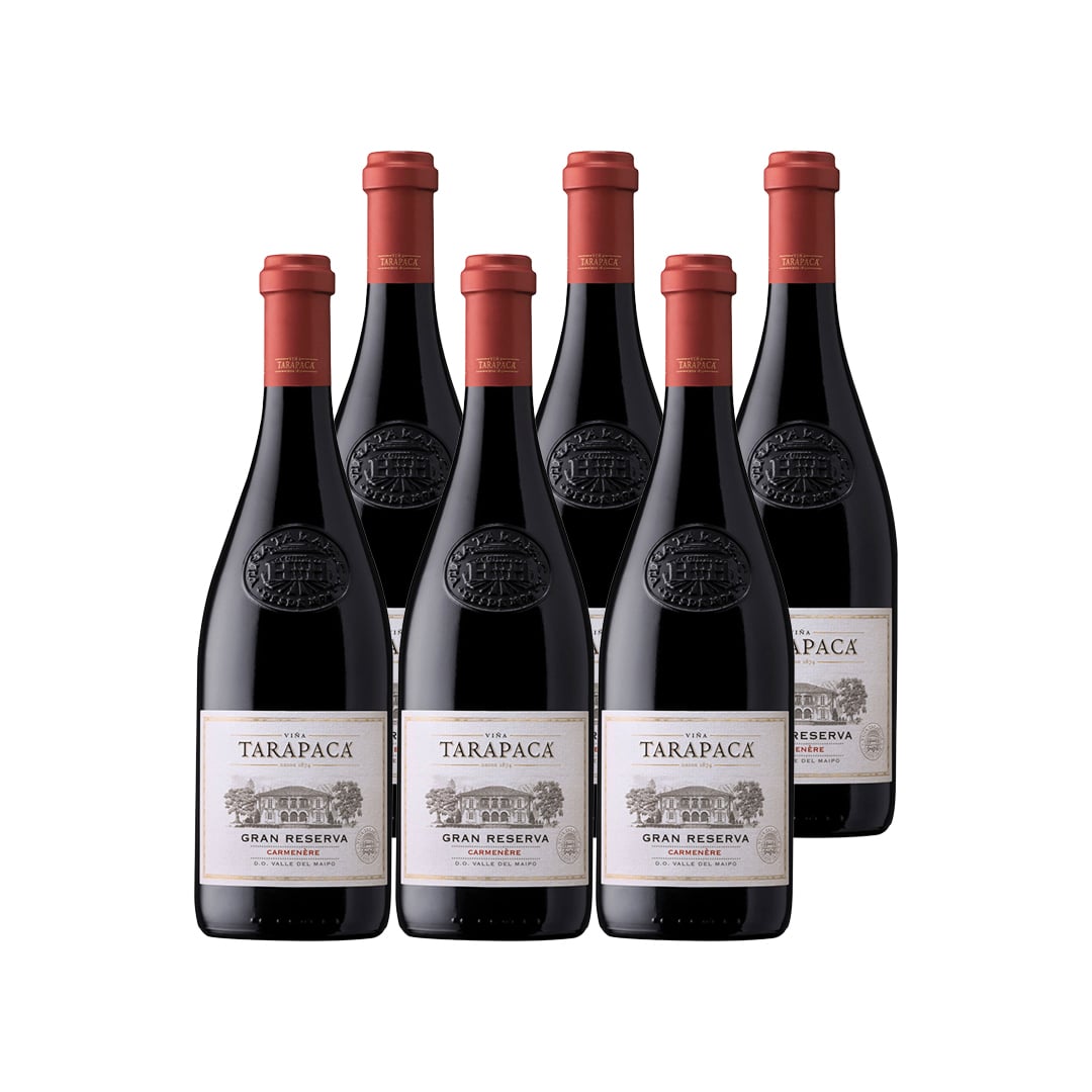 VINO TINTO CARMENERE TARAPACA BOTELLA VIDRIO 750 CC 6 UN TARAPACÁ GRAN RESERVA 14° - 1